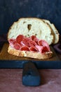 Sliced Ã¢â¬â¹Ã¢â¬â¹smoked sausage on toast, yeast bread bruschetta on a board on a dark background. Italian, spanish appetizer